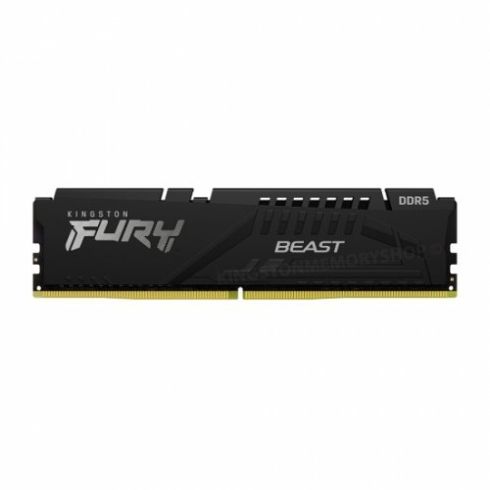 8G DDR5 5600 KINGSTON BEAST