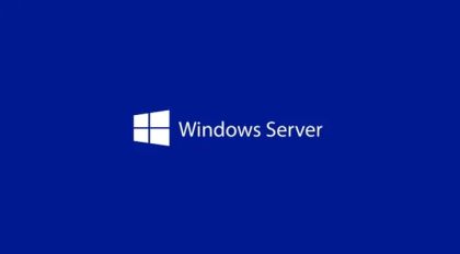 Windows Server CAL 2025 English 1pk DSP OEI 5 Clt User CAL