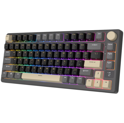 ROYAL KLUDGE RK-M75 Phantom Gaming Keyboard K Silver switch