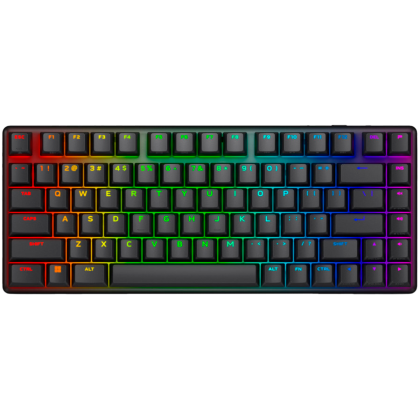 Alienware Pro Wireless Gaming Keyboard - US (QWERTY) (Dark Side of the Moon)