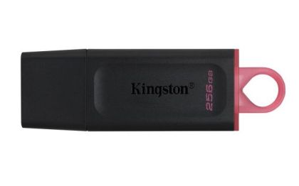 256 GB USB3.2 DTX KINGSTON