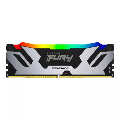 48G DDR5 6000 KING FUR REN RGB