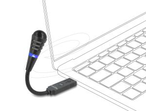 Delock USB Microphone with Gooseneck and Mute Button