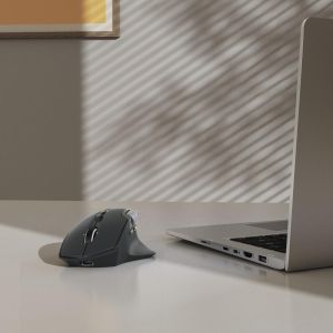 Hama “WM-900” Multi-Device Mouse, Ergonom., Radio/Bluetooth®, Battery, RGB, blk