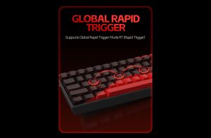 Madlions Professional Gaming Mechanical Keyboard MAD 60 PRO - Black, 8K, Gateron Jade Customized [Linear]