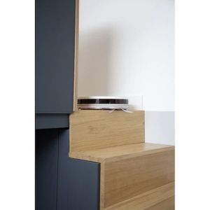 Vacuum cleaner Rowenta RR7387WH, X-PLORER S50 TOTAL CARE