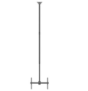 Neomounts Flat Screen Ceiling Mount (Height: 250-300 cm)