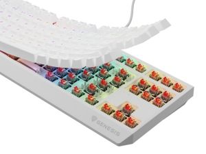 Keyboard Genesis Gaming Keyboard Thor 230 TKL US RGB Mechanical Outemu Red White Hot Swap