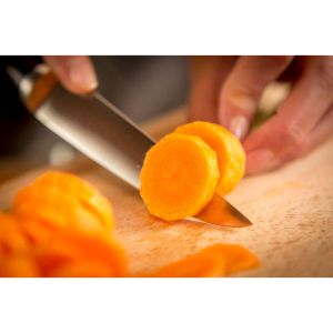 Knife Tefal K2320914, Ingenio Ice Force sst. Utility knife 11cm