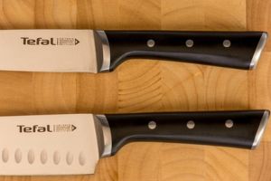 Нож Tefal K2320614, Ingenio Ice Force sst. Santoku knife 18cm