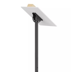 Neomounts Flat Screen Ceiling Mount (Height: 106-156 cm)