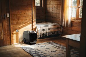 Ecoflow Portable Air Conditioner with Heater - WAVE 3