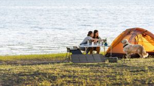 Ecoflow портативен соларен панел 60W Portable Solar Panel (Type-C)