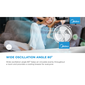 Table fan, 40W, 40cm, 3 speeds, mechanical, noise level: 50-60 dB, Oscillation 80°, Tilting +24° -12°