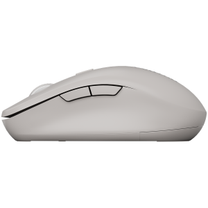CANYON mouse MW-12 Dual band Wireless gray