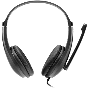 CANYON HSC-1, basic PC headset with microphone, combined 3.5mm plug, leather pads, Flat cable length 2.0m, 160*60*160mm, 0.13kg, Black
