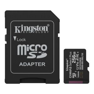 256G SDMIC KINGS CANVAS SEL+A1