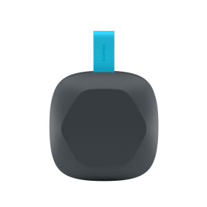 CANYON speaker HEXAGON 10 TWS 8W IPX5 Gray Blue