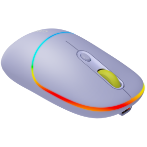CANYON mouse MW-22 2in1 BT/ Wireless Lavender