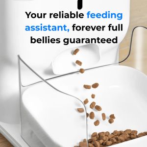 CatLink Смарт автоматична хранилка за котка Automatic Feeder Fresh 2 F04 Standard