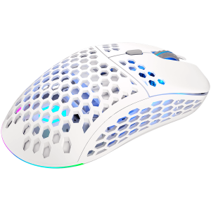 Endorfy LIX Plus Onyx White Wireless Gaming Mouse, PIXART PAW3370 Optical Gaming Sensor, 19000DPI, 69G Lightweight design, KAILH GM 8.0 Switches, 1.6M Paracord Cable, PTFE Skates, ARGB lights, 2 Year Warranty