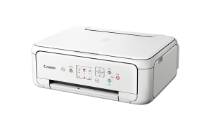 CANON PIXMA TS5151 AIO WIFI WH