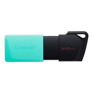 256GB USB3.2 DTXM KINGSTON