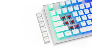 Keycaps ENDORFY - 124 pcs PBT - Onyx White