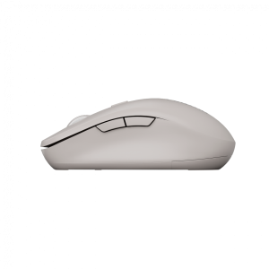 CANYON mouse MW-12 Dual band Wireless Beige