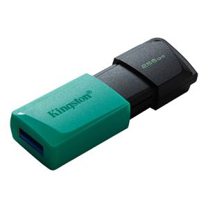 256 GB USB3.2 DTXM KINGSTON