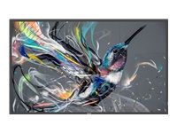 PHILIPS 50BDL3650Q/00 50inch Direct LED 4K Display powered by Android HTML5 browser CMND AND Deploy basic failover LAN